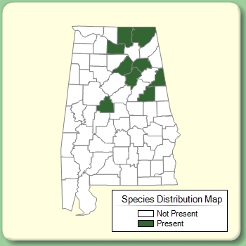 Species Distribution Map