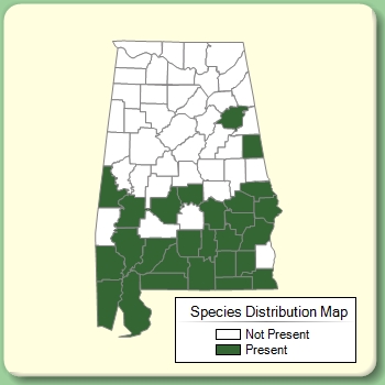 Species Distribution Map