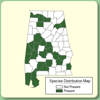 Species Distribution Map