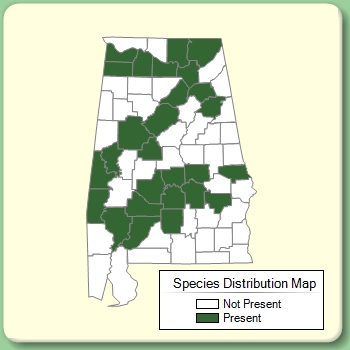 Species Distribution Map