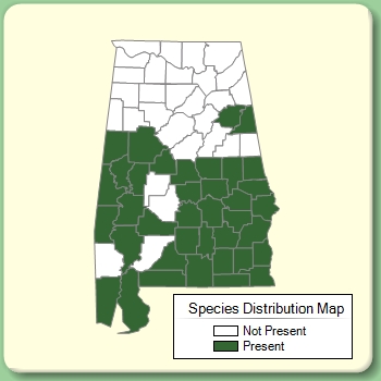 Species Distribution Map