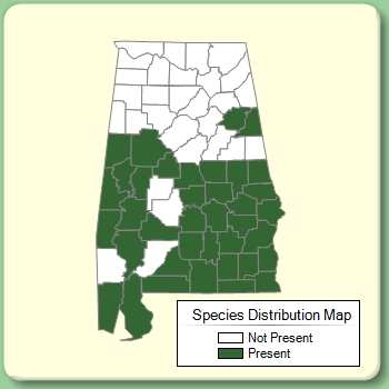 Species Distribution Map