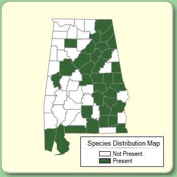 Species Distribution Map