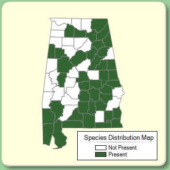 Species Distribution Map