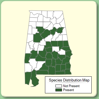 Species Distribution Map