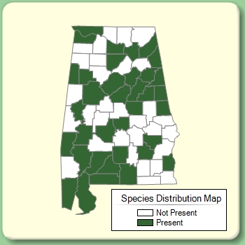 Species Distribution Map