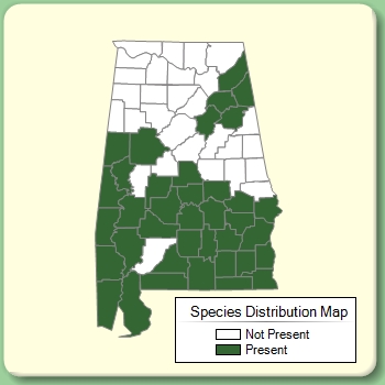 Species Distribution Map