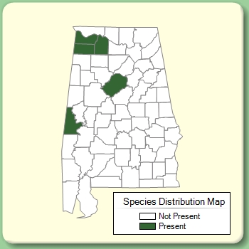 Species Distribution Map