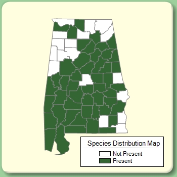 Species Distribution Map