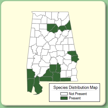 Species Distribution Map