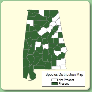 Species Distribution Map