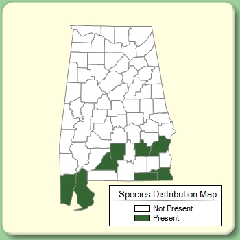 Species Distribution Map