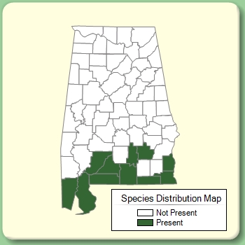 Species Distribution Map