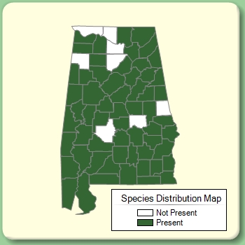 Species Distribution Map