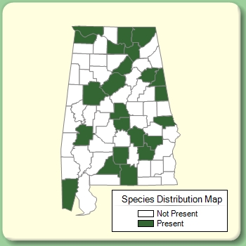 Species Distribution Map