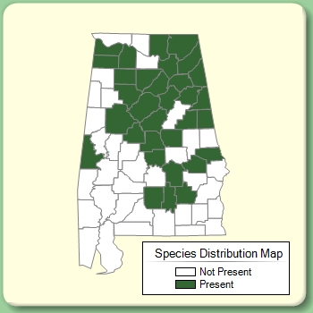 Species Distribution Map