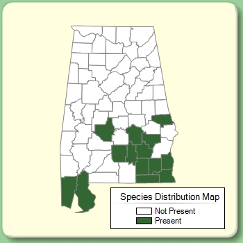 Species Distribution Map