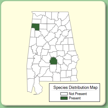 Species Distribution Map