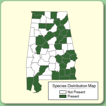 Species Distribution Map