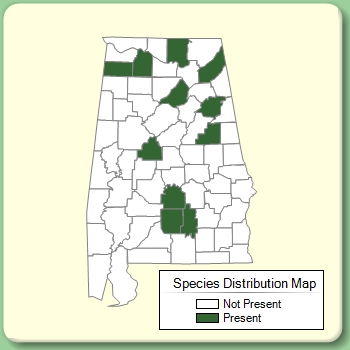 Species Distribution Map