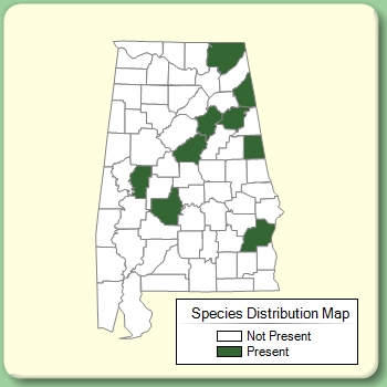 Species Distribution Map