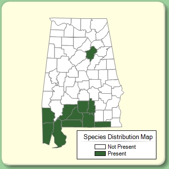 Species Distribution Map