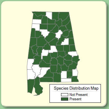 Species Distribution Map