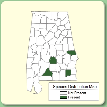 Species Distribution Map