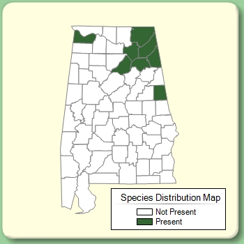 Species Distribution Map