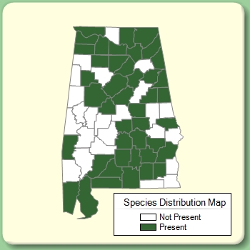 Species Distribution Map