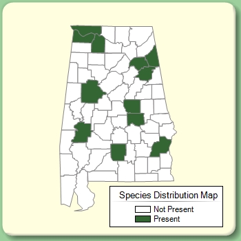 Species Distribution Map