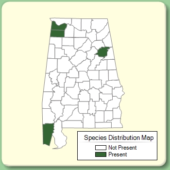 Species Distribution Map