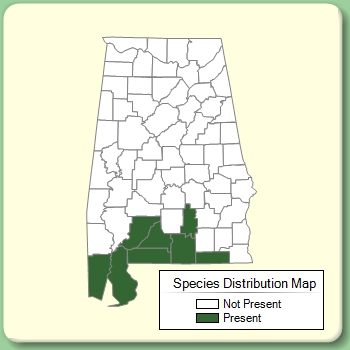 Species Distribution Map