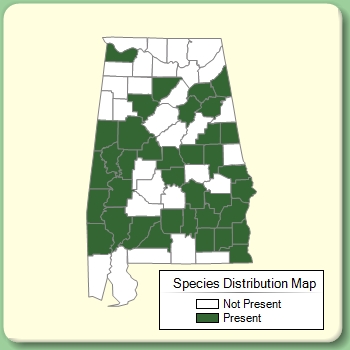 Species Distribution Map