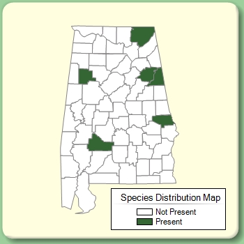 Species Distribution Map