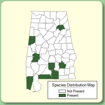 Species Distribution Map