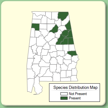 Species Distribution Map