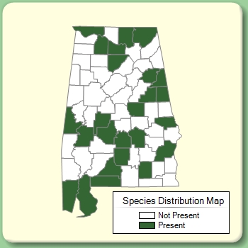 Species Distribution Map