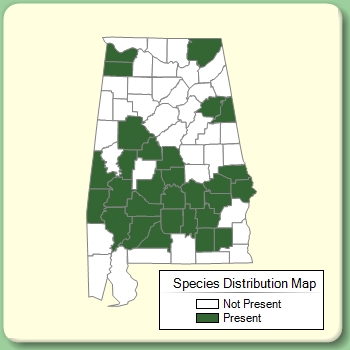 Species Distribution Map