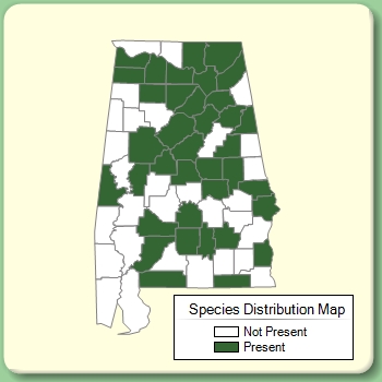 Species Distribution Map