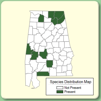 Species Distribution Map