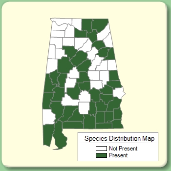 Species Distribution Map