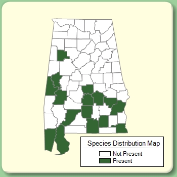 Species Distribution Map