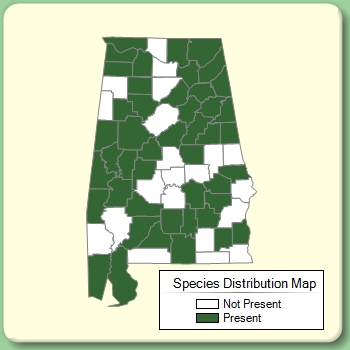 Species Distribution Map