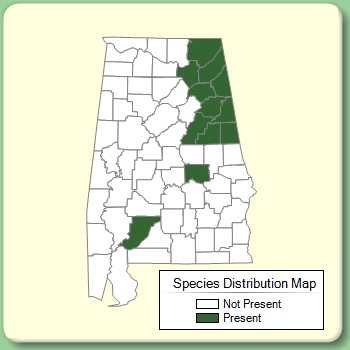 Species Distribution Map