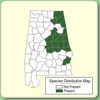 Species Distribution Map