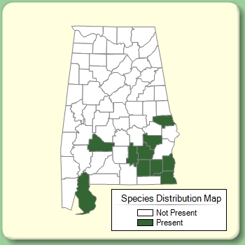 Species Distribution Map