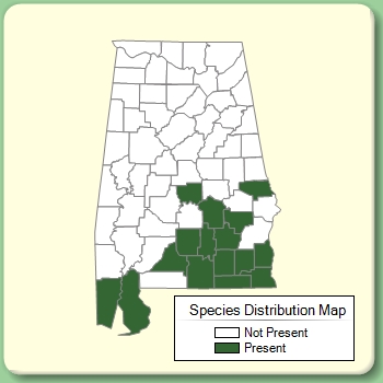 Species Distribution Map