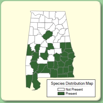 Species Distribution Map