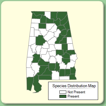 Species Distribution Map